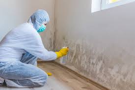  Greentown, OH Mold Removal Pros