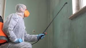 Best Emergency Mold Remediation in Greentown, OH