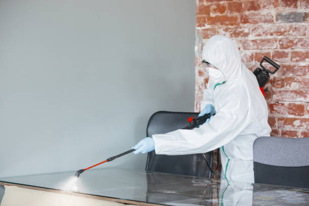 Best Mold Odor Removal Services in Greentown, OH