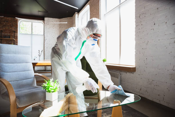 Why You Should Choose Our Mold Remediation Services in Greentown, OH