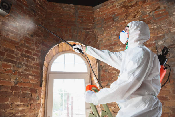 Best Forensic Mold Investigation in Greentown, OH